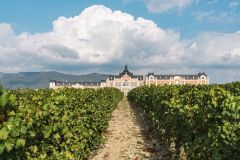 vinodelni-i-syrovarni-4